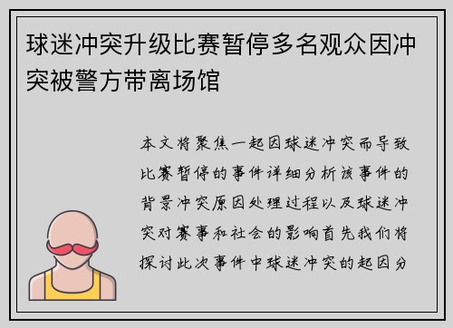 球迷冲突升级比赛暂停多名观众因冲突被警方带离场馆