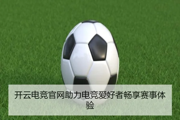 开云电竞官网助力电竞爱好者畅享赛事体验