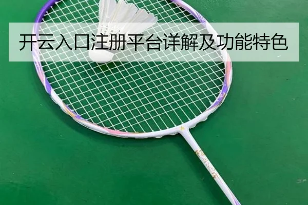 开云入口注册平台详解及功能特色