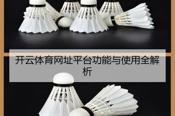 开云体育网址平台功能与使用全解析